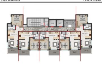 Alanya Mahmut Projesi