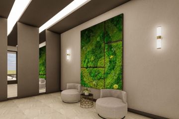 Alanya Mahmut Projesi