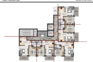 Alanya Mahmut Projesi