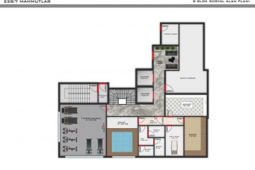 Alanya Mahmut Projesi