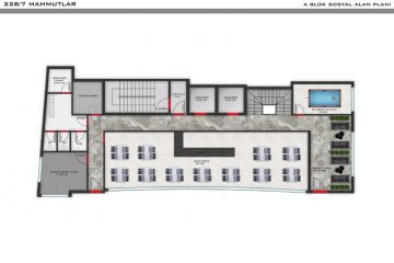 Alanya Mahmut Projesi